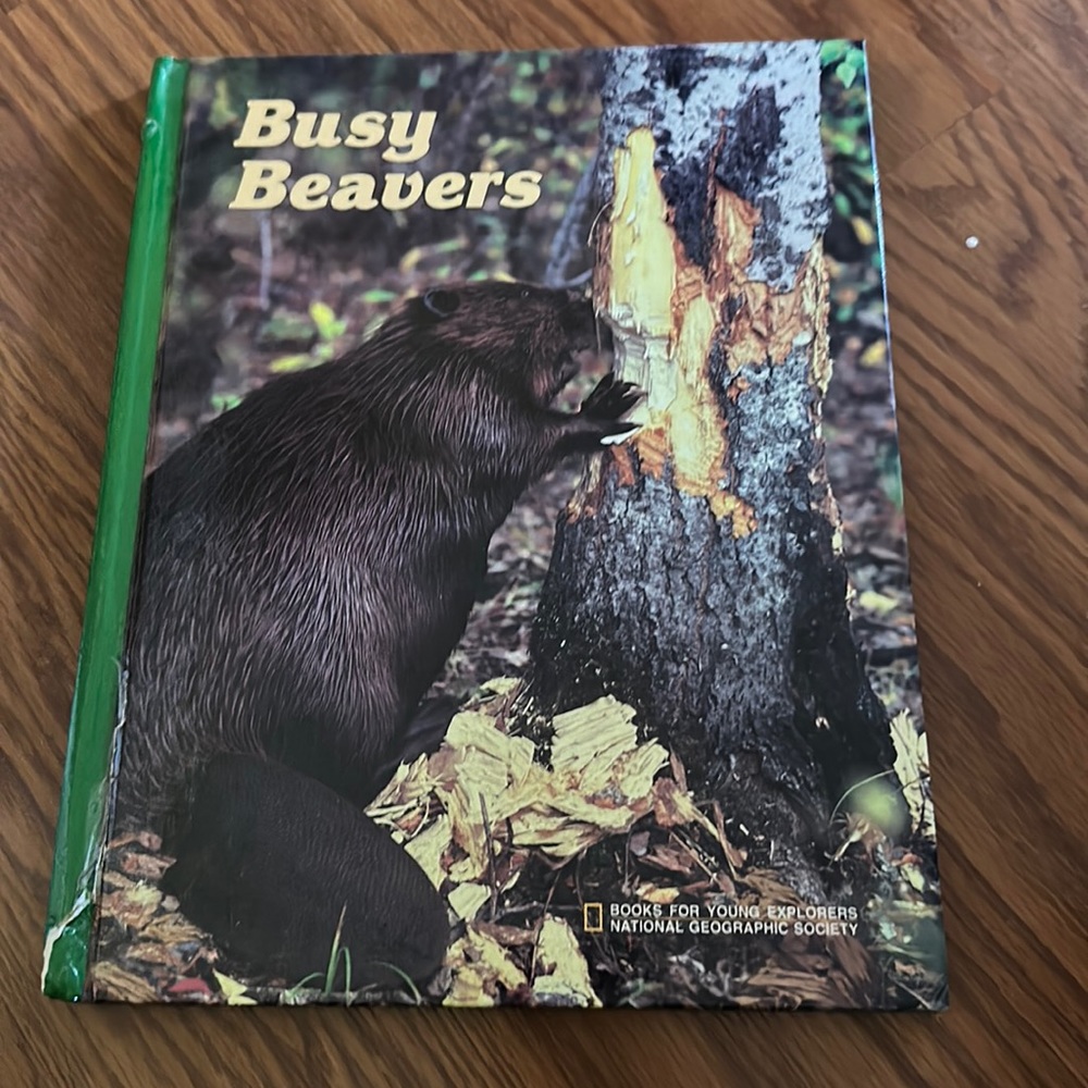 4 gently used kids books